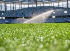 德甲第,美因茨迎战,弗赖堡,乐鱼足球直播,足球赛事直播平台,足球比赛直播,足球赛事资讯,足球赛程信息