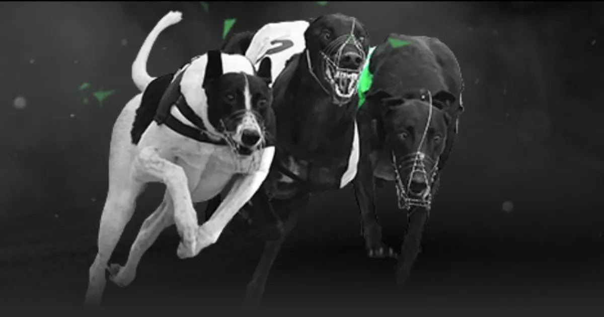 天津体育总,局助力津门,持之以恒投,乐鱼足球直播,足球赛事直播平台,足球比赛直播,足球赛事资讯,足球赛程信息